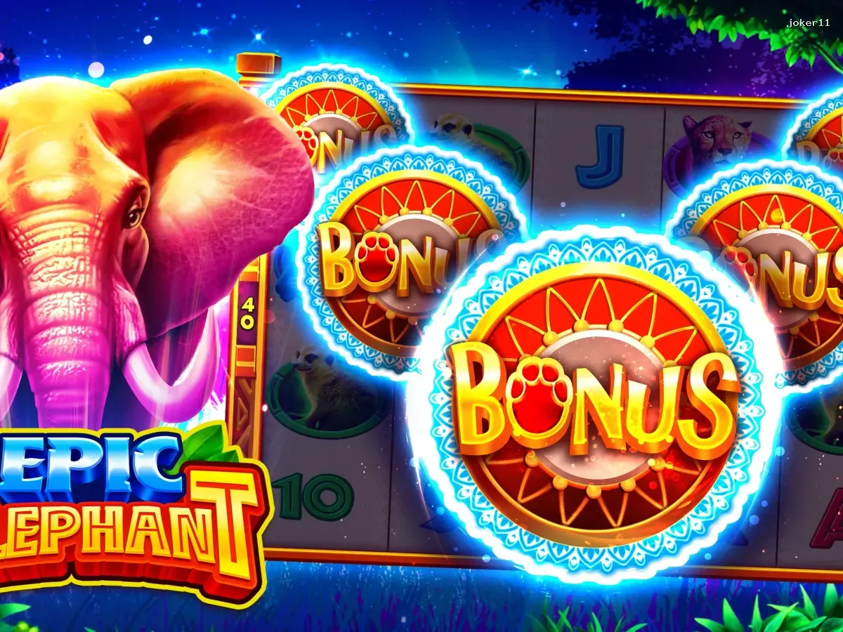 Akses joker11 VIP Premium screenshot